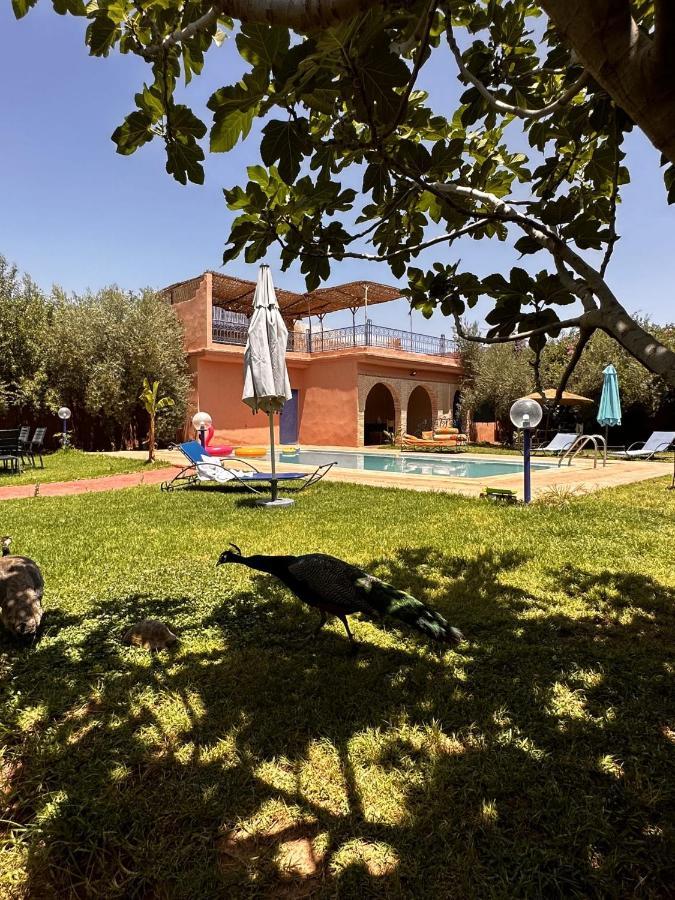 Villa Ms Holidays Mika Privatisee Marrakech Маракеш Екстериор снимка