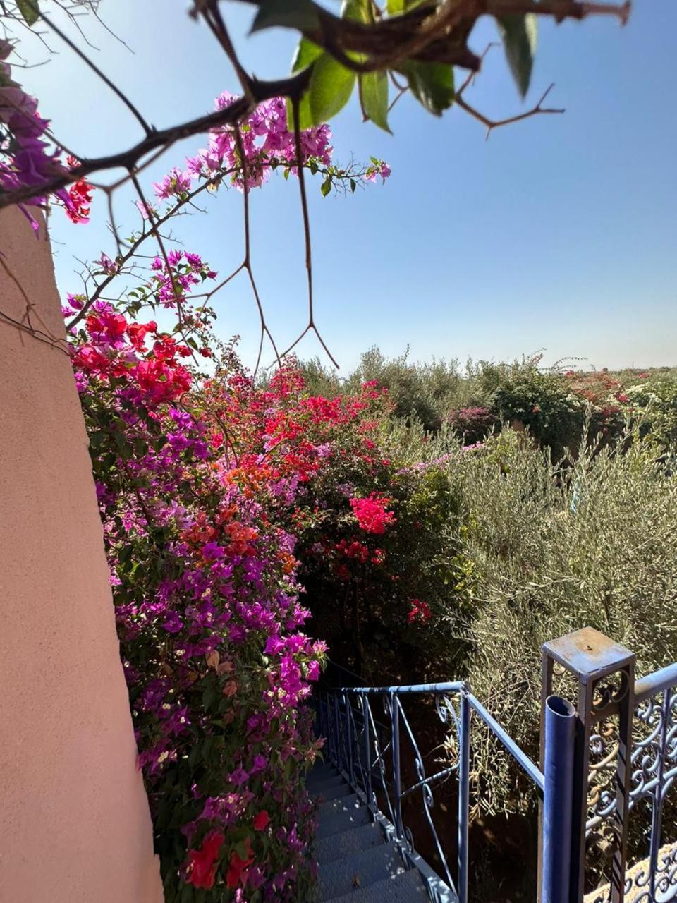 Villa Ms Holidays Mika Privatisee Marrakech Маракеш Екстериор снимка