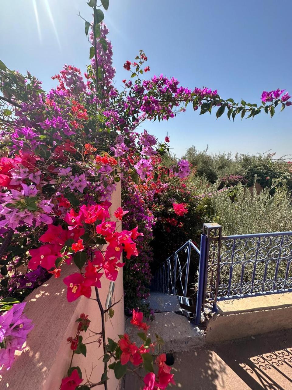 Villa Ms Holidays Mika Privatisee Marrakech Маракеш Екстериор снимка